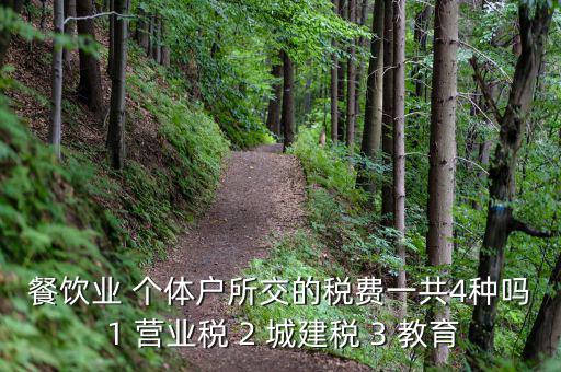 個(gè)體餐飲業(yè)交什么稅，餐飲業(yè) 個(gè)體戶所交的稅費(fèi)一共4種嗎 1 營(yíng)業(yè)稅 2 城建稅 3 教育