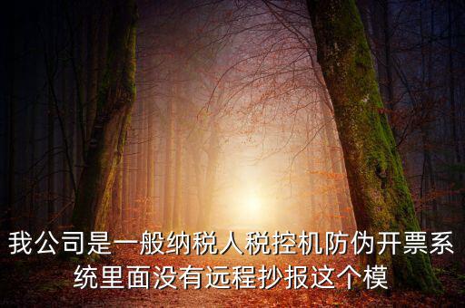 我公司是一般納稅人稅控機(jī)防偽開票系統(tǒng)里面沒有遠(yuǎn)程抄報(bào)這個(gè)模