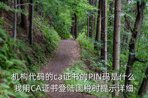 機(jī)構(gòu)代碼的ca證書(shū)的PIN碼是什么我用CA證書(shū)登陸國(guó)稅時(shí)提示詳細(xì)