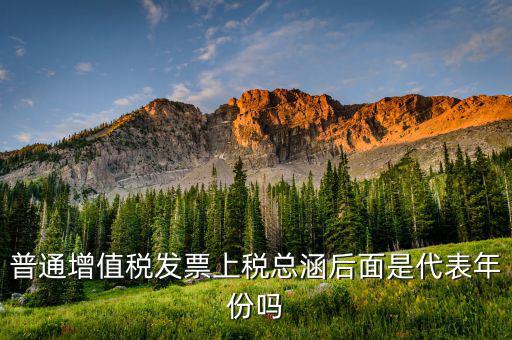稅總涵2016代表什么意思，稅總財(cái)行便函201616號保險(xiǎn)公司開具保險(xiǎn)發(fā)票車船稅只在備注