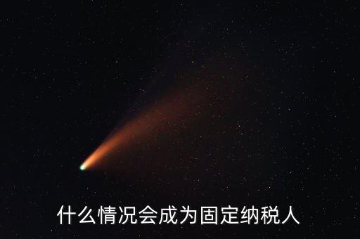 什么是固定納稅人，什么是定額納稅人