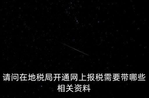 網(wǎng)上申報地稅需要什么，一般納稅人網(wǎng)上申報地稅上要報哪些稅