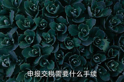 辦理稅務(wù)需要什么手續(xù)，稅務(wù)登記 代辦需要什么手續(xù)