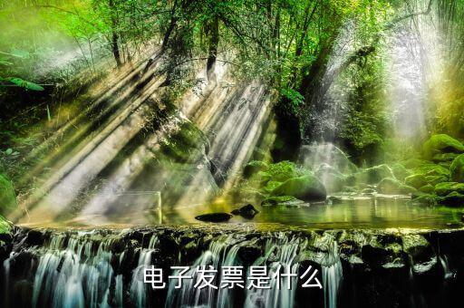 電子發(fā)票單位是什么樣的，什么叫電子發(fā)票