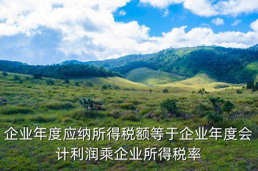應(yīng)納稅所得額等于什么，什么是應(yīng)納稅所得額