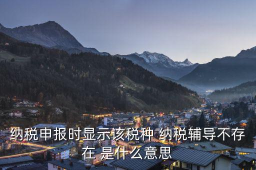 納稅輔導是什么意思，納稅申報時顯示該稅種 納稅輔導不存在 是什么意思