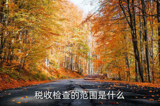 在地稅局需要檢查什么地方，稅務(wù)年檢是什么地方的來檢查