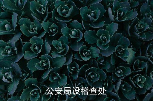 稽查處是什么部門，公安局設(shè)稽查處