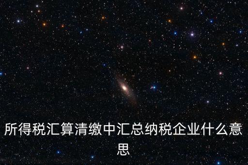 什么匯總納稅企業(yè)所得稅，關(guān)于企業(yè)所得稅匯總繳納