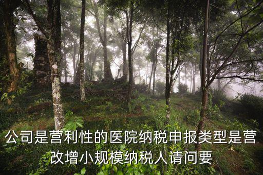 營(yíng)改增醫(yī)院用什么發(fā)票，營(yíng)改增認(rèn)定的一般納稅人使用什么發(fā)票