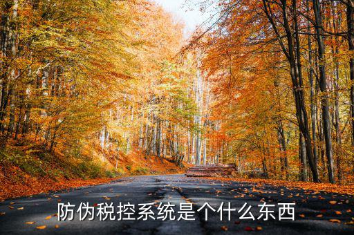 防偽稅控一體化什么時(shí)候，營(yíng)改增后漢字防偽企業(yè)抄報(bào)稅時(shí)需要使用什么設(shè)備