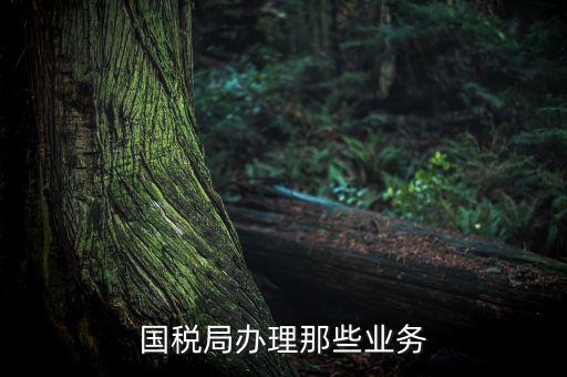 國(guó)稅局辦理那些業(yè)務(wù)