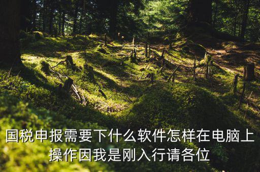 寶雞國稅用的什么軟件報(bào)稅，寶雞報(bào)稅怎么報(bào)