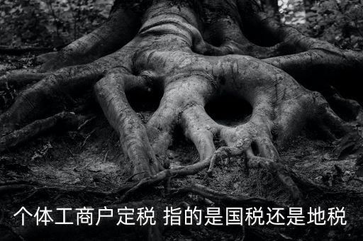 個(gè)體戶(hù)定稅是什么意思，疑難國(guó)稅個(gè)體戶(hù)定稅