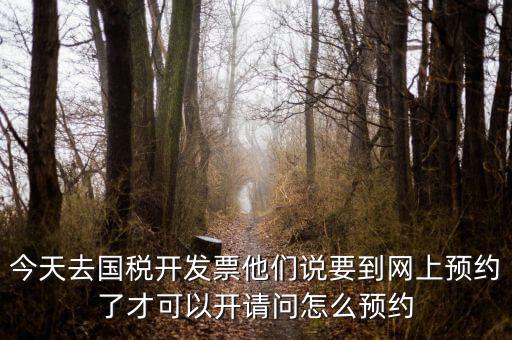 國稅預(yù)約的是什么，拿金稅盤去國稅前臺弄要預(yù)約嗎