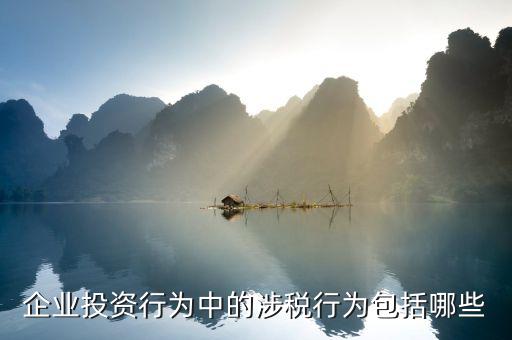 涉稅事項都包含什么，現(xiàn)在律師事務(wù)所可以提供涉稅服務(wù)嗎涉稅的內(nèi)容包括那些