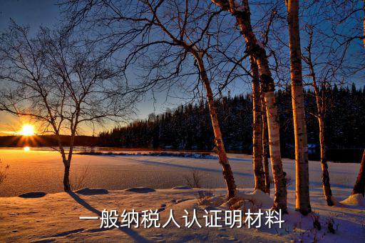 認證一般納稅人的要什么資料，一般納稅人認證明材料