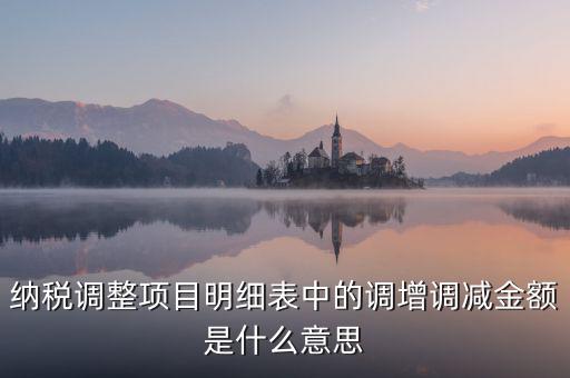 納稅調(diào)整項目明細(xì)表中的調(diào)增調(diào)減金額是什么意思