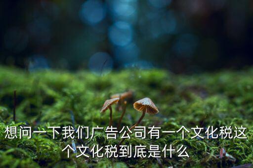 什么是稅務(wù)文化，和諧地稅文化的內(nèi)涵應(yīng)包括哪些方面