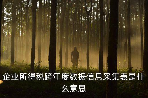 企業(yè)所得稅跨年度數(shù)據(jù)信息采集表是什么意思