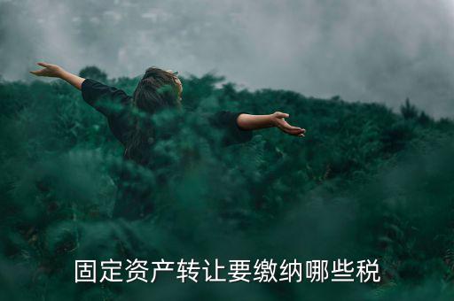 個人轉(zhuǎn)讓資產(chǎn)交什么稅，個人股權(quán)轉(zhuǎn)讓涉及哪些稅