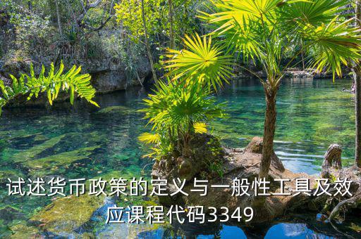 政策功能編碼是什么，試述貨幣政策的定義與一般性工具及效應課程代碼3349