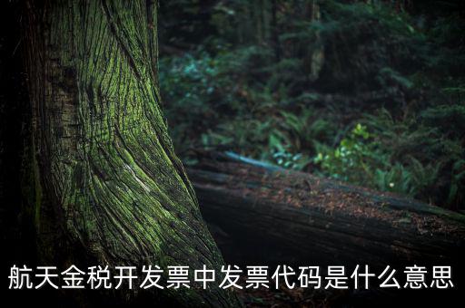 增值稅的航天編碼是什么，航天金稅 自動開票 怎么獲取 發(fā)票代碼 發(fā)票號碼