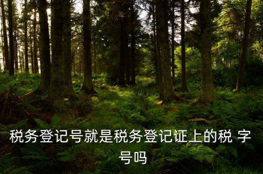 稅務(wù)登記證是什么字體，稅務(wù)登記證上的這是什么字體