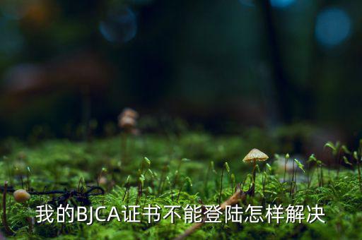 為什么ca證書不能登錄，我的BJCA證書不能登陸怎樣解決