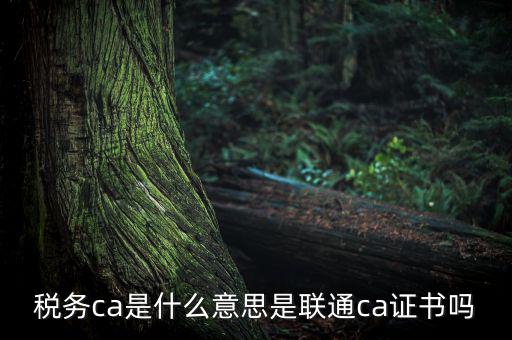 稅務(wù)ca是什么意思，去地稅簽三方協(xié)議需要以下東西第四個CA是什么意思啊