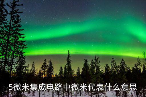 集成電路08微米是什么概念，CPU上說的納米和微米是什么意思呢詳細(xì)