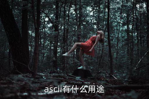 稅優(yōu)識別碼有什么用，ascii有什么用途