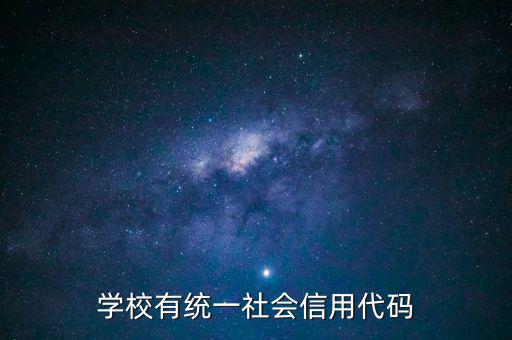 學(xué)校有統(tǒng)一社會(huì)信用代碼