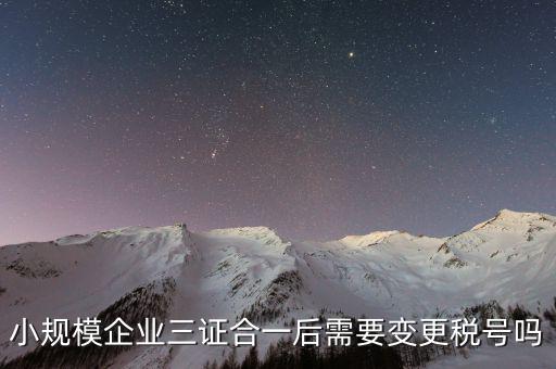 什么情況需要變更稅號，小規(guī)模企業(yè)三證合一后需要變更稅號嗎