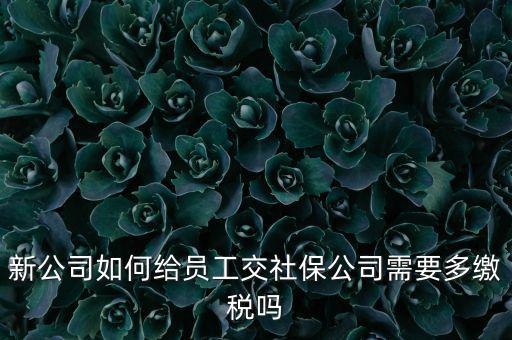 公司交社保要交什么稅，企業(yè)為員工交養(yǎng)老保險要不要交稅的