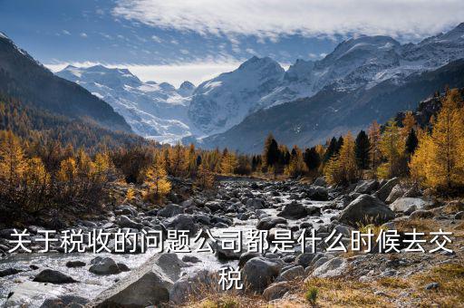 每個什么時候交稅，關(guān)于稅收的問題公司都是什么時候去交稅