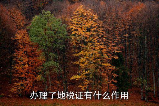 地稅局作用是什么，地稅局給我們帶來(lái)了哪些好處