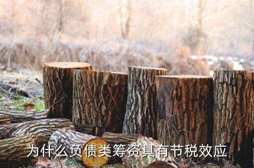 什么是節(jié)稅，為什么負(fù)債類籌資具有節(jié)稅效應(yīng)