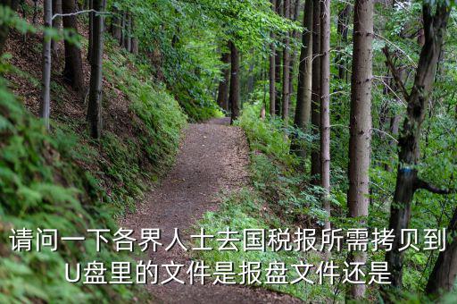 稅務(wù)報(bào)盤(pán)文件是什么，請(qǐng)問(wèn)一下各界人士去國(guó)稅報(bào)所需拷貝到U盤(pán)里的文件是報(bào)盤(pán)文件還是