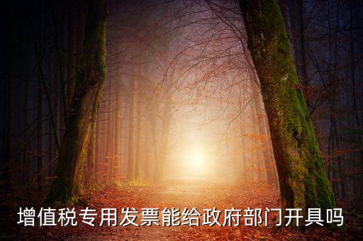 什么內(nèi)容的發(fā)票不可以給政府部門(mén)，增值稅專用發(fā)票能給政府部門(mén)開(kāi)具嗎