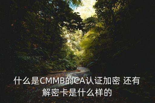 東莞ca證書密碼是什么意思，機構(gòu)代碼的ca證書的PIN碼是什么我用CA證書登陸國稅時提示詳細
