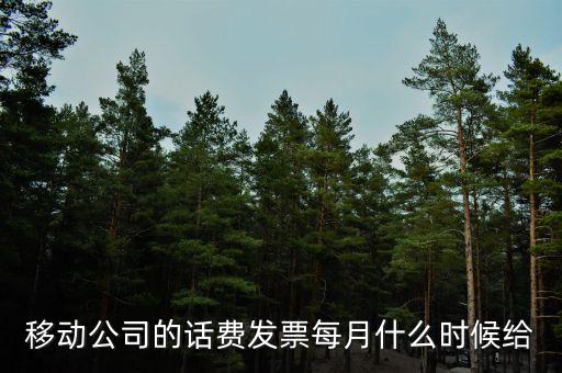 移動(dòng)公司的話費(fèi)發(fā)票每月什么時(shí)候給