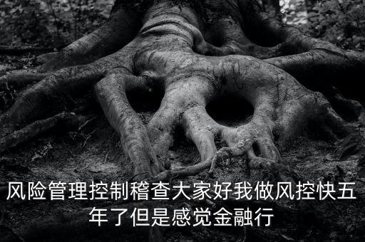 稽查風(fēng)險(xiǎn)管控是什么意思，股票中1風(fēng)險(xiǎn)提示 違規(guī)稽查是什么意思