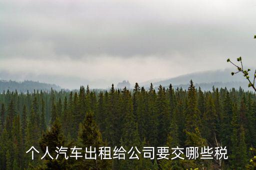 車輛租賃交什么稅，轎車租賃需繳納多少稅控