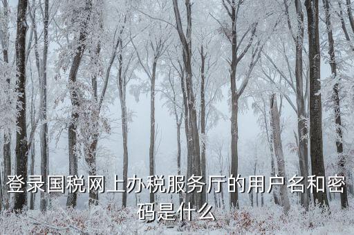 什么是電子稅務(wù)局登錄賬號(hào)，登錄國稅網(wǎng)上辦稅服務(wù)廳的用戶名和密碼是什么