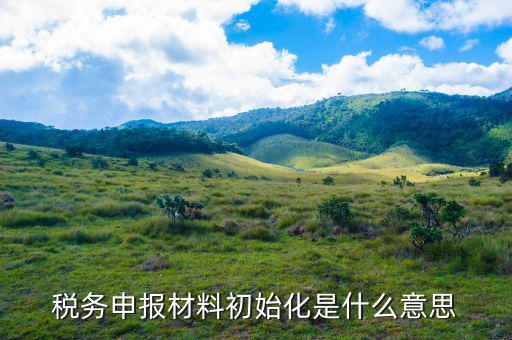 地稅初始化文件是什么意思，稅務(wù)申報(bào)材料初始化是什么意思