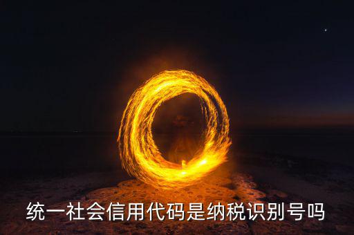 統(tǒng)一社會(huì)信用代碼是納稅識別號嗎
