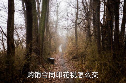 購(gòu)銷合同印花稅怎么交