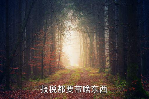 上稅要帶什么，報(bào)稅都要帶啥東西