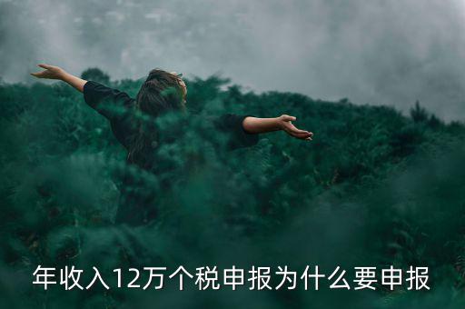 為什么12萬個稅申報表，12萬以上個人所得稅申報是什么意思